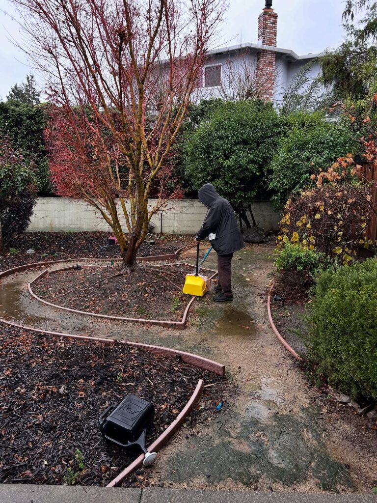 605580274 17873449110470481 8476303268336235499 n