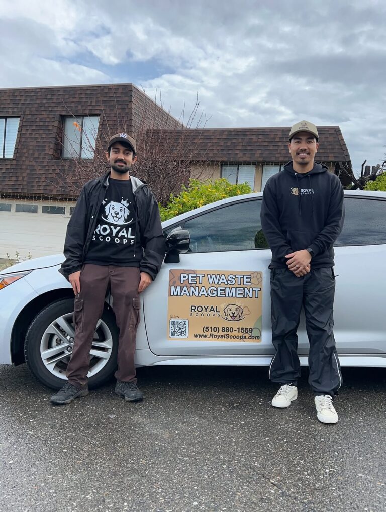 605912387 17873449101470481 3217236686148669308 n